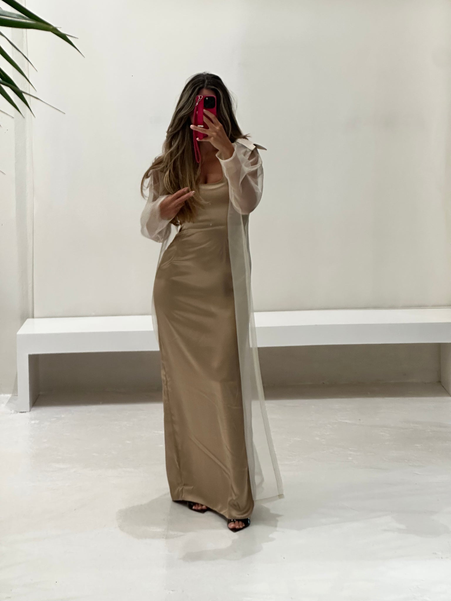 sheer dress
