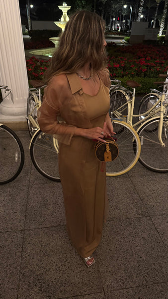 sheer dress