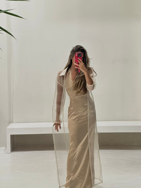 sheer dress